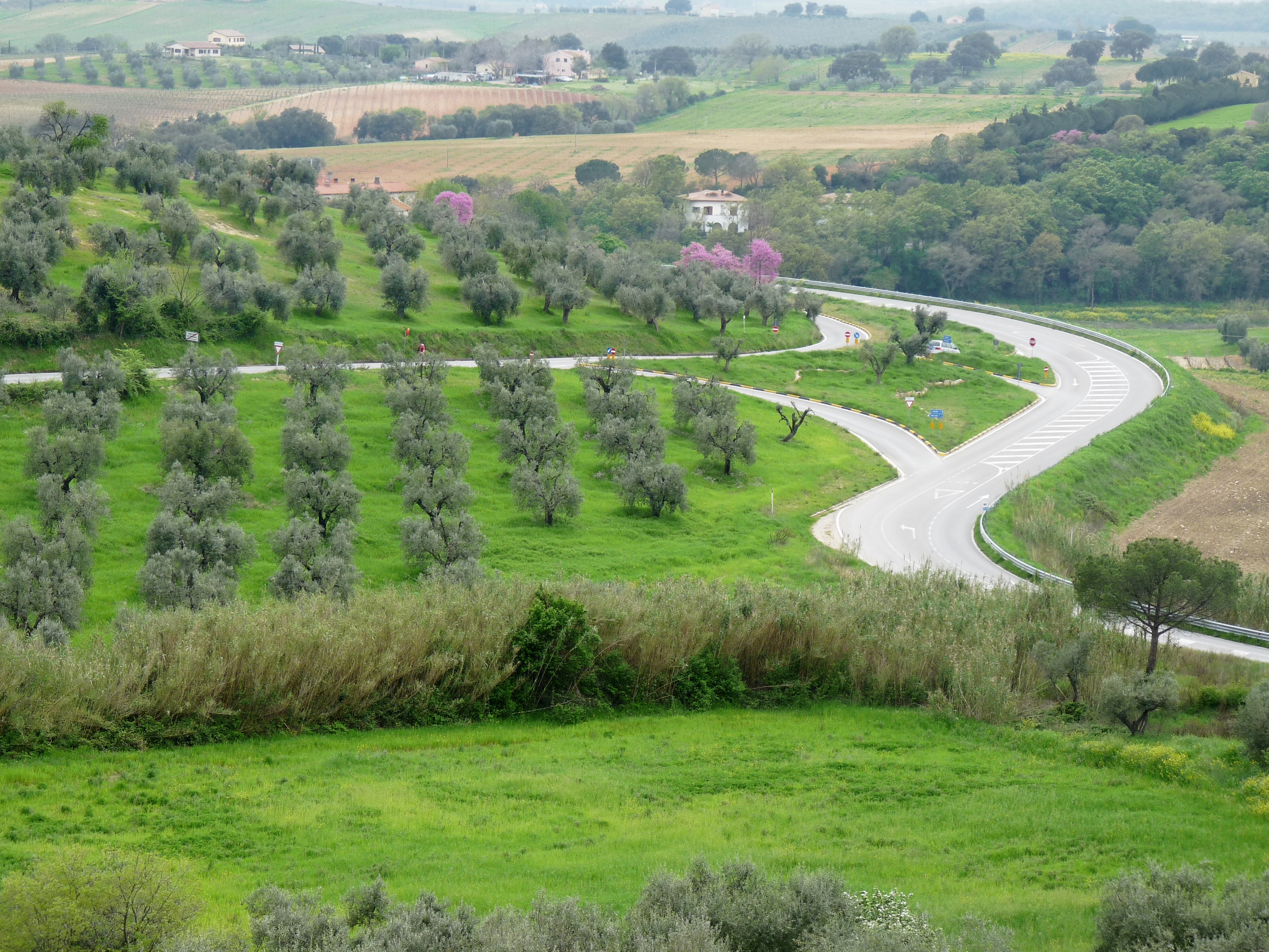 Maremma - Alessio Damato