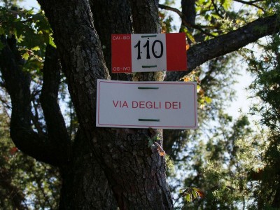 via-dei