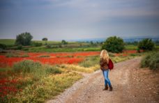 Coronavirus : 6a multa per una signora di Montepulciano
