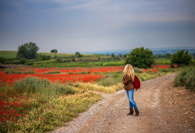 Coronavirus : 6a multa per una signora di Montepulciano