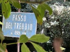 Passo del Trebbio