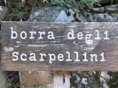 Borra degli scarpellini