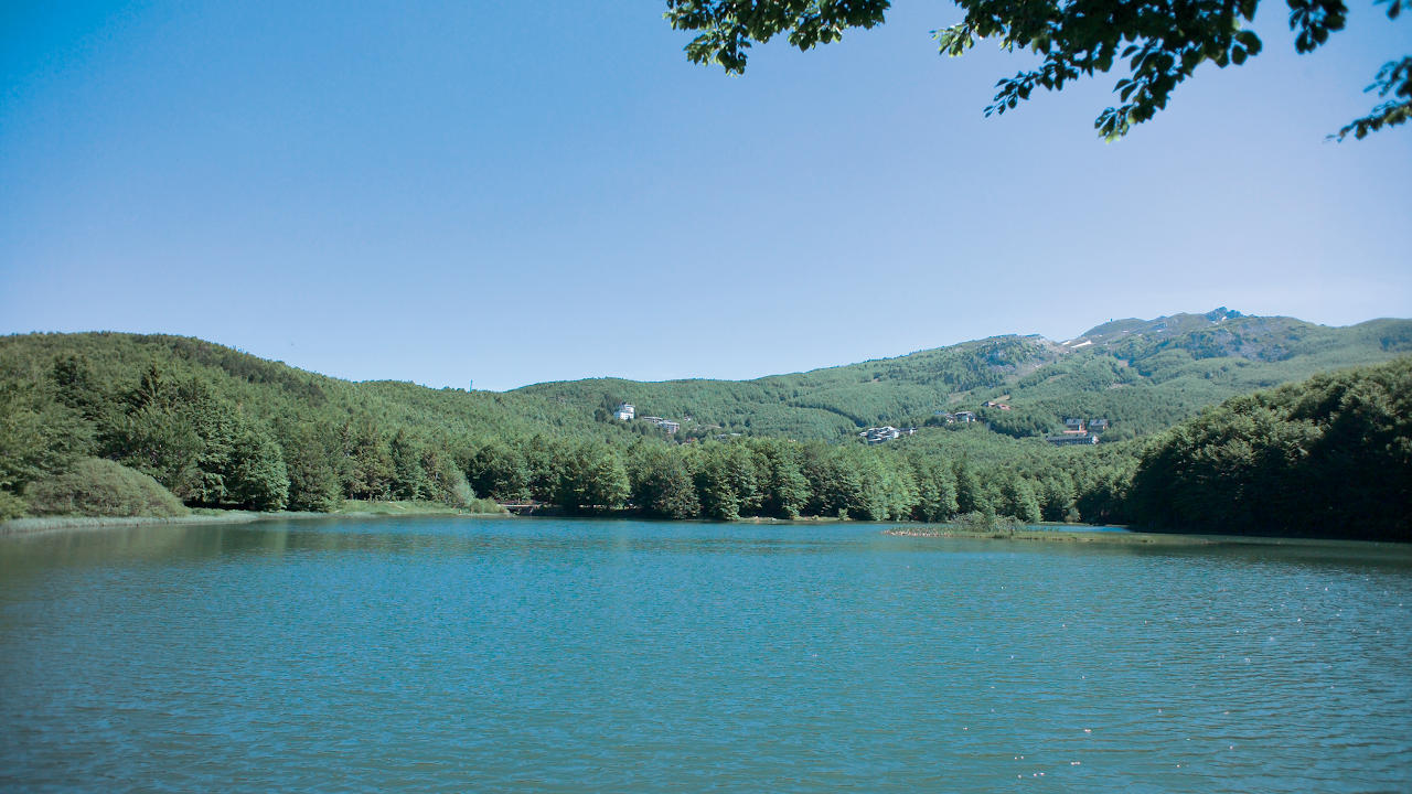 Appennino reggiano in mtb? È una grande idea. - Emilia Bike Experience